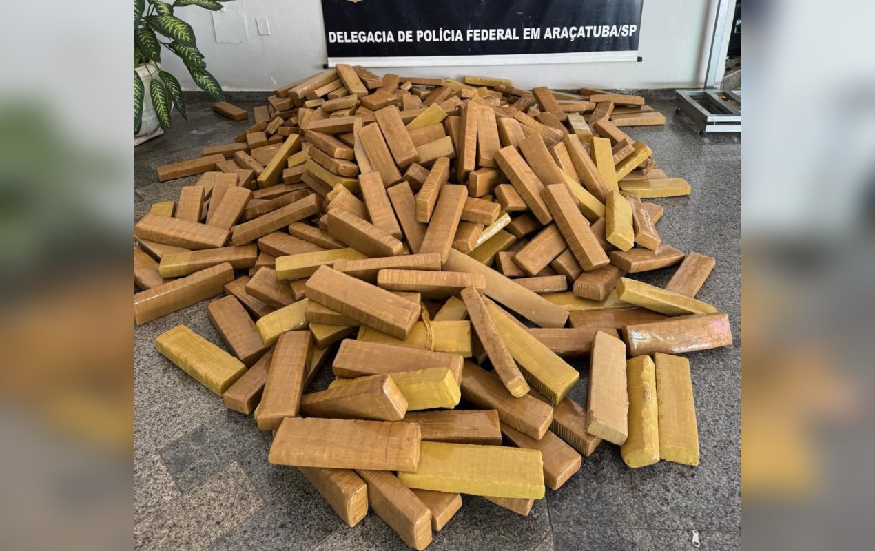 foto Notícia Taiobeiras