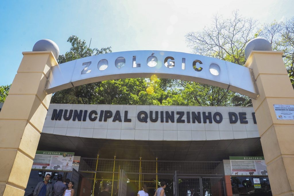 foto Notícia Taiobeiras